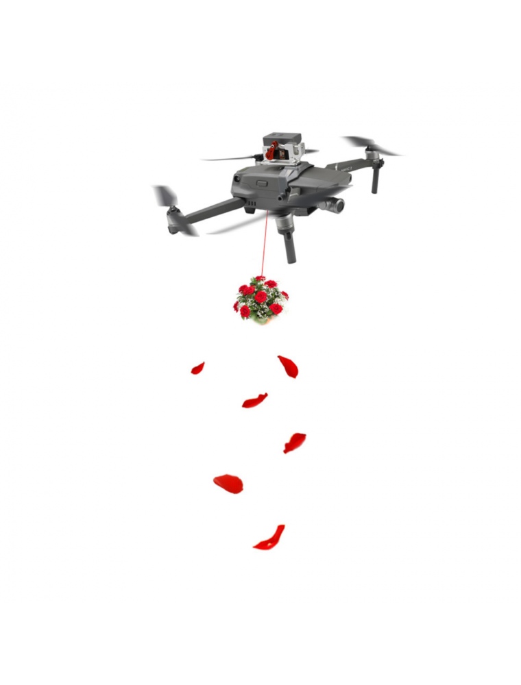 RCGEEK Air Thrower Fishing Wedding Ring Gifts Delivery Drop System for DJI MAVIC 2 Pro/Zoom RC Drone