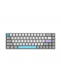 AKKO 3068 - Silent Mechanical Keyboard 68 Keys bluetooth Wired Dual Mode PBT Keycap Gateron Switch White Backlight Gaming Keyboa
