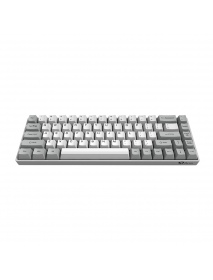 AKKO 3068 - Silent Mechanical Keyboard 68 Keys bluetooth Wired Dual Mode PBT Keycap Gateron Switch White Backlight Gaming Keyboa
