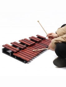 25 Notes Wooden Xylophone Percussion Educational Gift with 2 Mallets