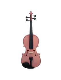 NAOMI Acoustic Violin 4/4 Full Size Violin Fiddle Student Violin Acoustic Violin For Beginners Students Use