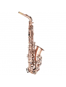 MY S0189 Antique Bronze Alto Saxophone Woodwind Instrument